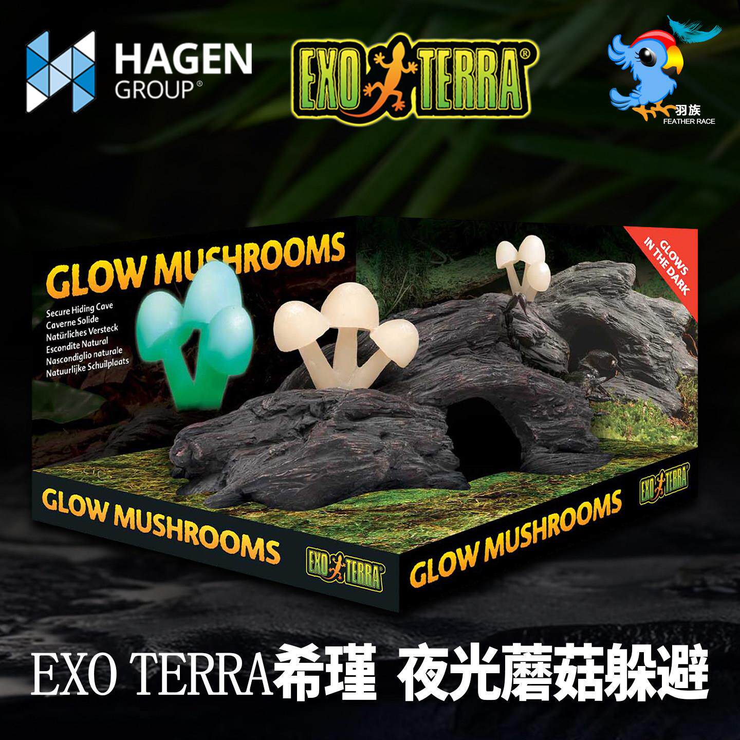 哈根西瑾希瑾小型爬宠躲避洞穴躲避蝎子蜈蚣发光蘑菇爬虫箱造景