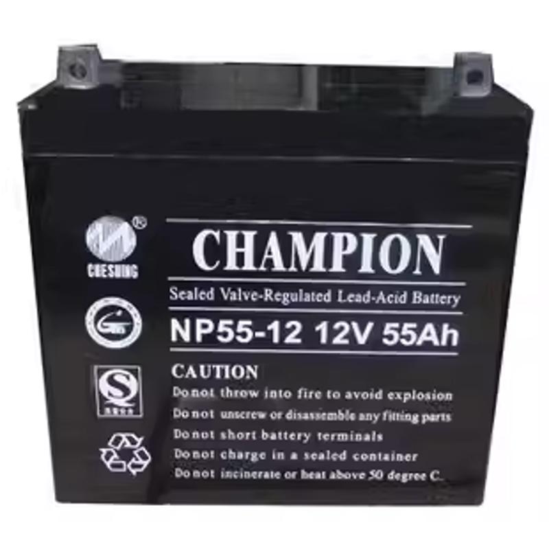 CHAMPION冠军蓄电池NP-12V7A9A17A24A38A40A65A100A120A150A200AH