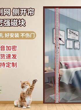 金刚网侧开门帘多规格多尺寸加密网防蚊防虫免打孔强磁力门帘纱帘