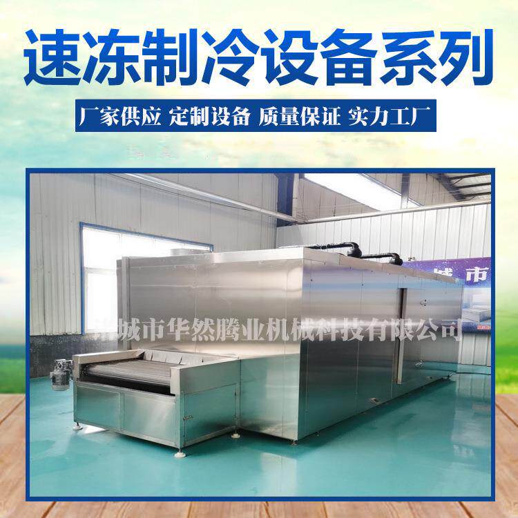 海产品单体隧道式速冻机蔬菜水果等颗粒片状块状食品流化床速冻机