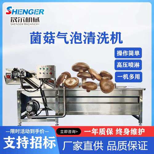 不锈钢果蔬喷淋清洗机果蔬油菜气泡清洗机竹笋清洗机设备