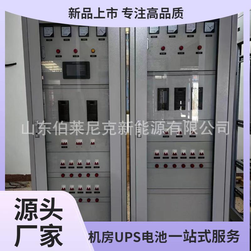 免维护直流电源屏小型柜式 定24AH 电池220V直流屏壁挂式直流屏