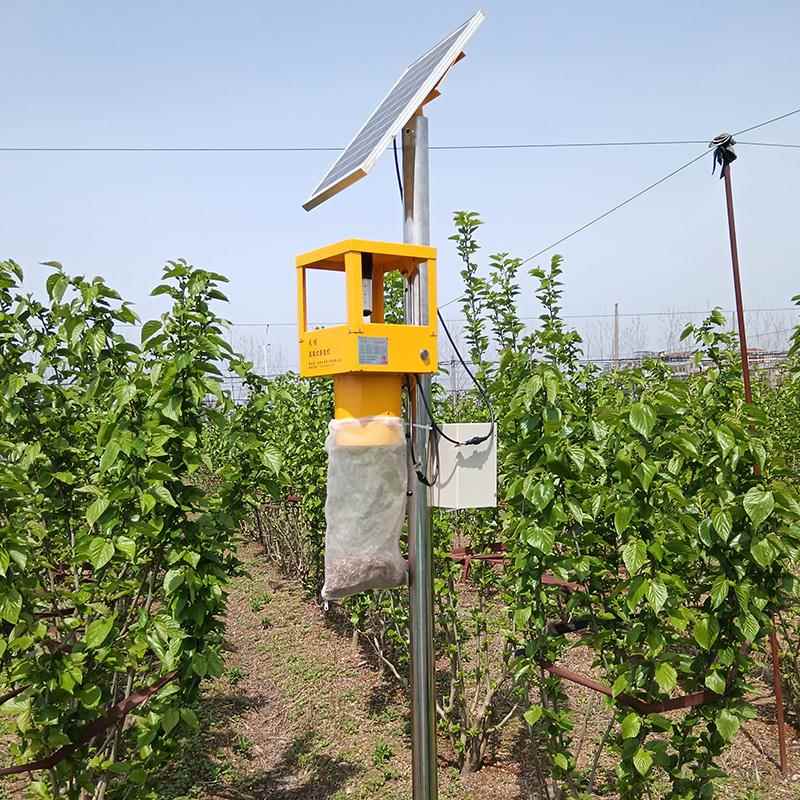 太阳能风吸式杀虫灯适用于农田果园茶园 高效灭蚊防水诱虫设备