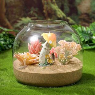 Bottle Terrarium Ornaments Ecosystem Plants Enclosed Eco