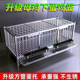 不锈钢鸡笼子家用大号室外阳台养殖下蛋笼家养鸡鸭鹅防啄自动滚蛋