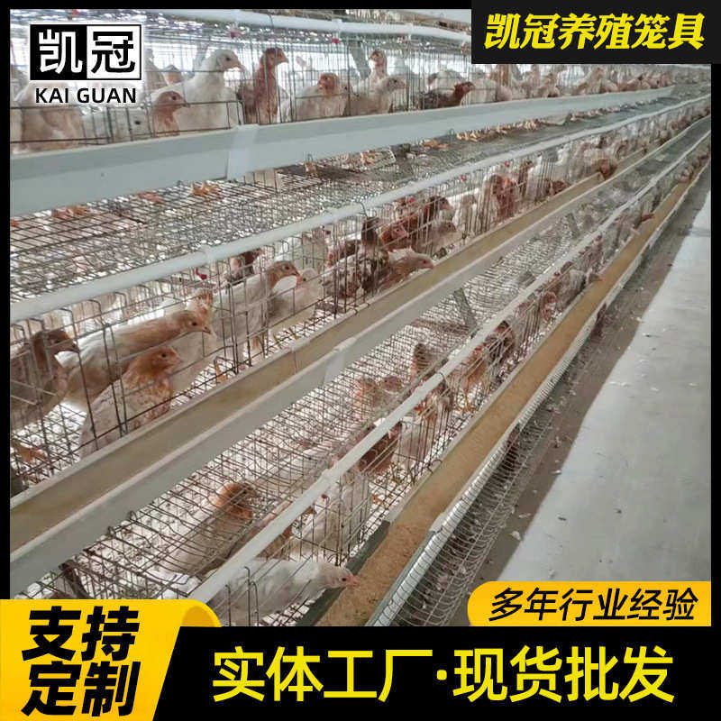 立体三层阶梯式蛋鸡笼全自动蛋鸡养殖笼子组合阶梯式蛋鸡笼子全套,机械设备,农业机械/园林设备/畜牧设备,淘宝优惠券,粉丝福利购,淘宝优惠卷