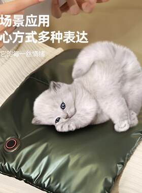 宠物电热毯猫咪加热垫恒温定时取暖器防水电热垫小型犬狗窝电褥子