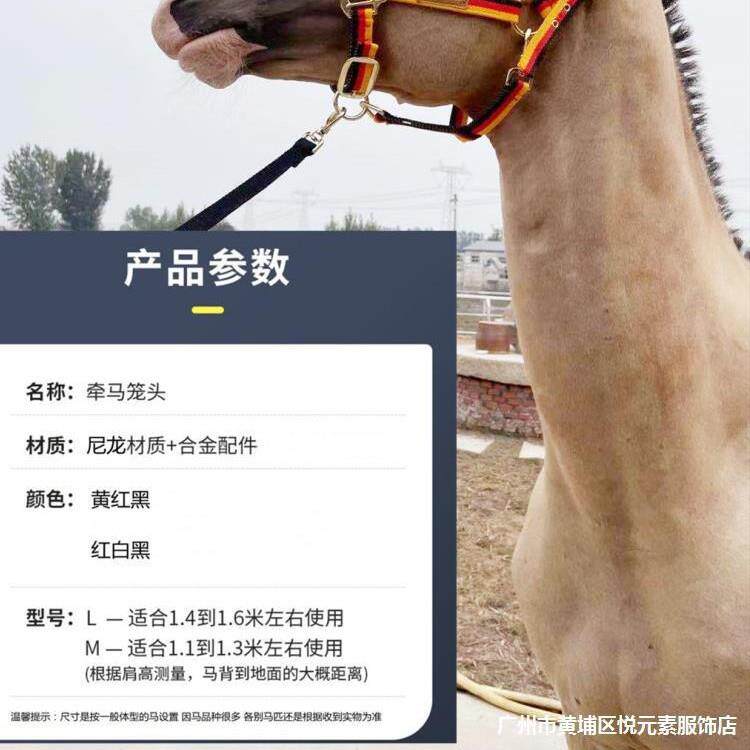 新品牵马笼头马术用品防磨龙头龙套马具配件大小矮马笼头水勒口衔
