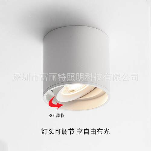 COB明装射灯可调角度无主灯 过道轻奢白色客餐厅吸顶免开孔背景灯