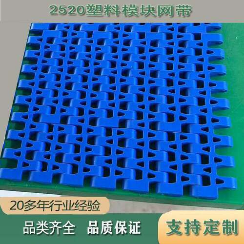 2520塑料模块网带食品级材质模块化网孔清洗线鱼虾输送带可加链条
