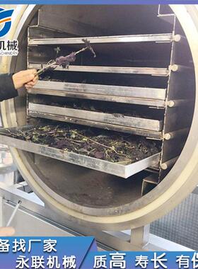 果蔬物温真空冷低冻干燥机 榴KZI莲真空冻干 全自动宠食品冻机干