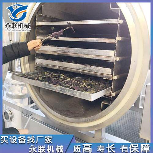 全自动萝卜干食品真空冻干机黄桃桑葚低温冻干设备蔬菜粒冻干机