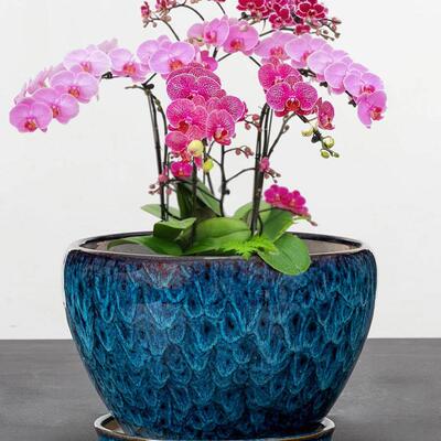 flowerpot ceramic simple large indoor plant pot with tray