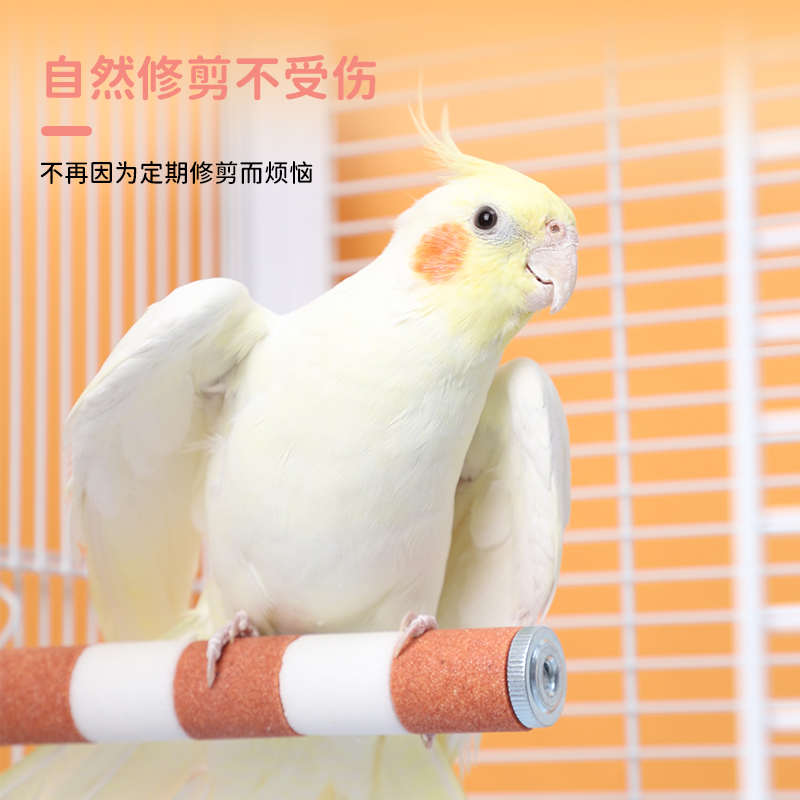 鹦鹉磨爪棒磨砂站杆鸟笼站棍站架不锈钢虎皮玄凤专用磨嘴磨牙用品
