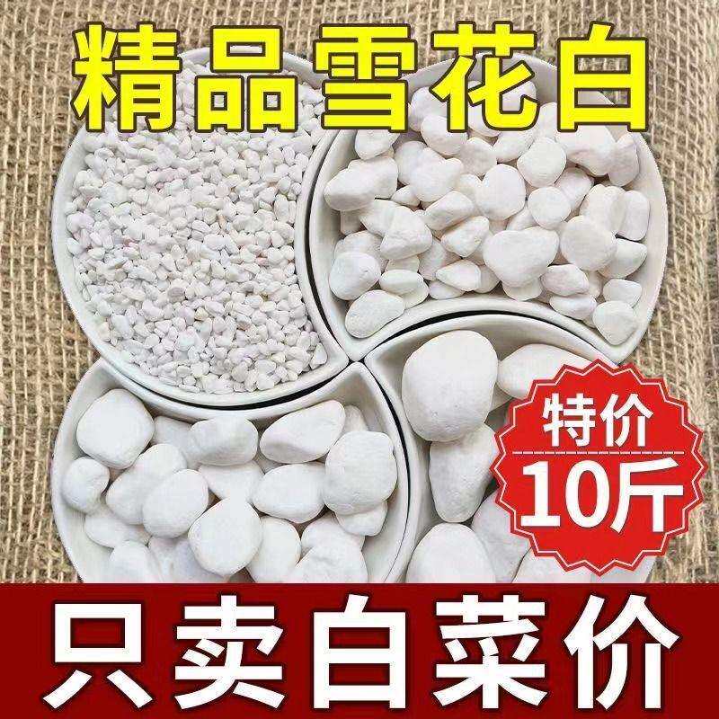 水磨石石米白色透水石子园林花圃造景砾石白色石米水洗石黑色石米
