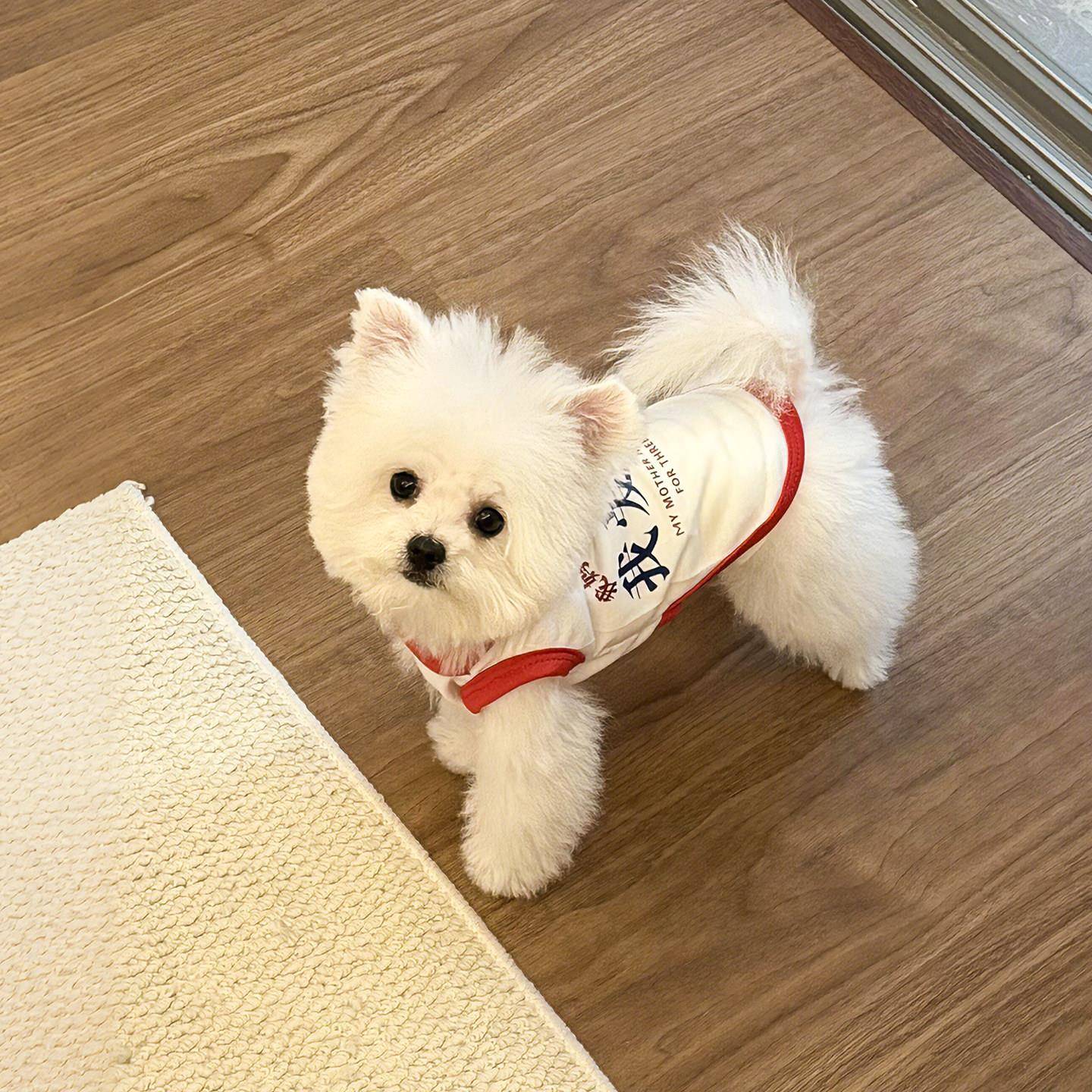 【我爱我妈】狗狗衣服薄款夏天背心可牵引防挣脱德文猫咪宠物服饰