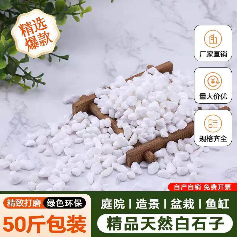 江西白石子造景天然砾石颗粒装饰花园小石头抛光暖白色鹅卵石铺地