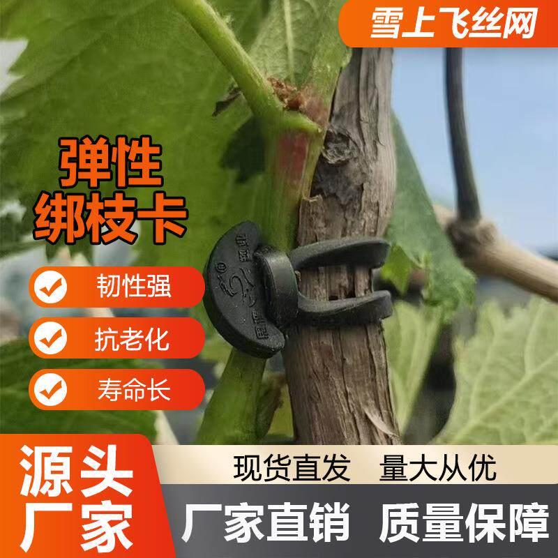 果树捆枝器葡萄大棚绑枝器猕猴桃绑枝卡子 绑枝器 弹性绑蔓卡扣
