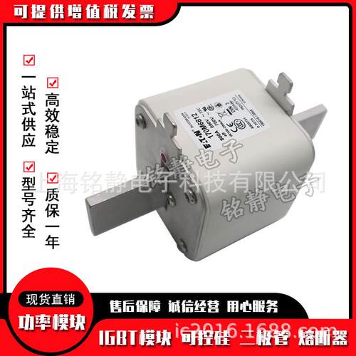 170M6688 170M6698 170M6699 170M6700 170M6701巴斯曼熔断器现货