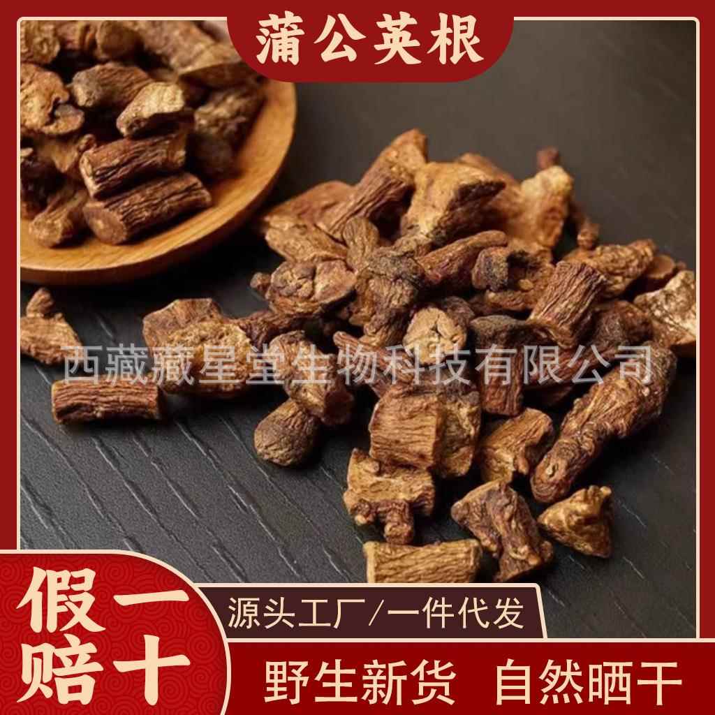 西藏野生蒲公英根茶正品特级天然蒲公英根中药材茶根泡酒泡水