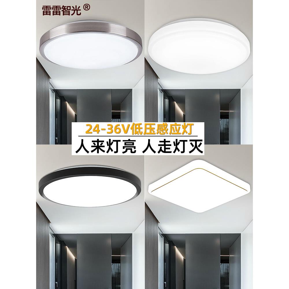 LED声光控吸顶灯雷达工程过道24V12瓦W楼道智能人体感应灯低压36V