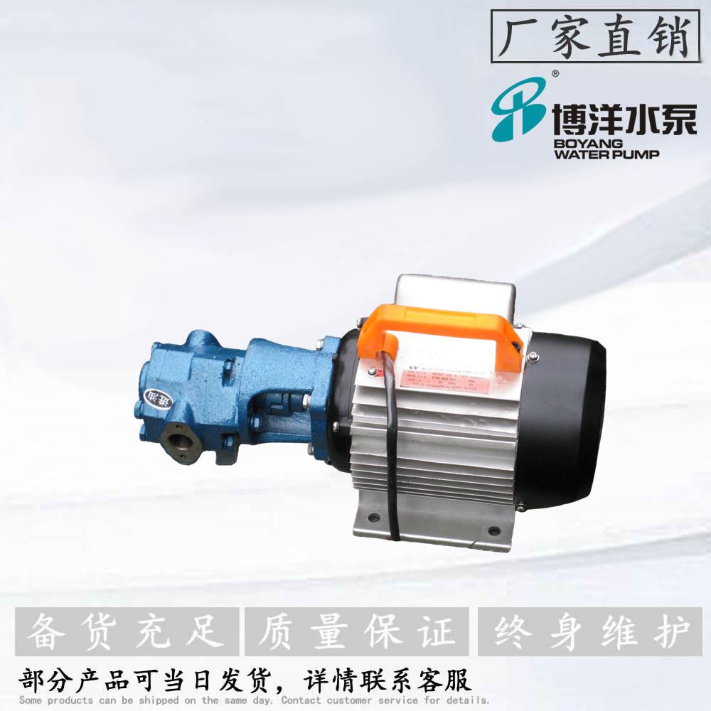 WCB-50型齿轮泵不锈钢齿轮油泵手提式油泵