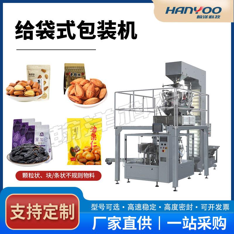 工厂定制红枣桂圆灌装预制袋给袋包装机称重计数包装机