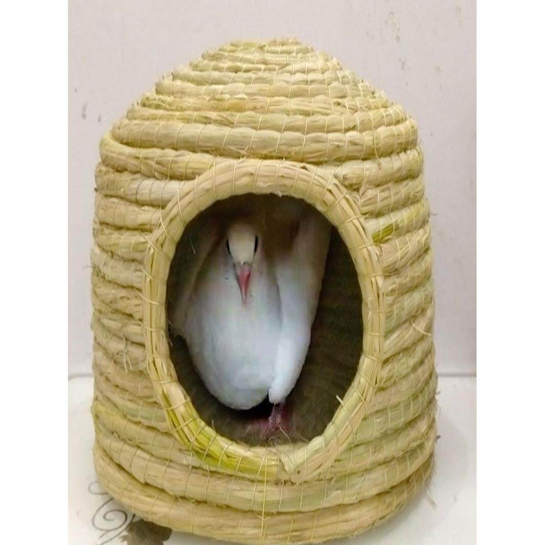 鸽窝鸽子巢窝鸽子窝孵蛋专用鹌鹑玄凤鸟窝鹦鹉窝保暖鸟巢下蛋草窝
