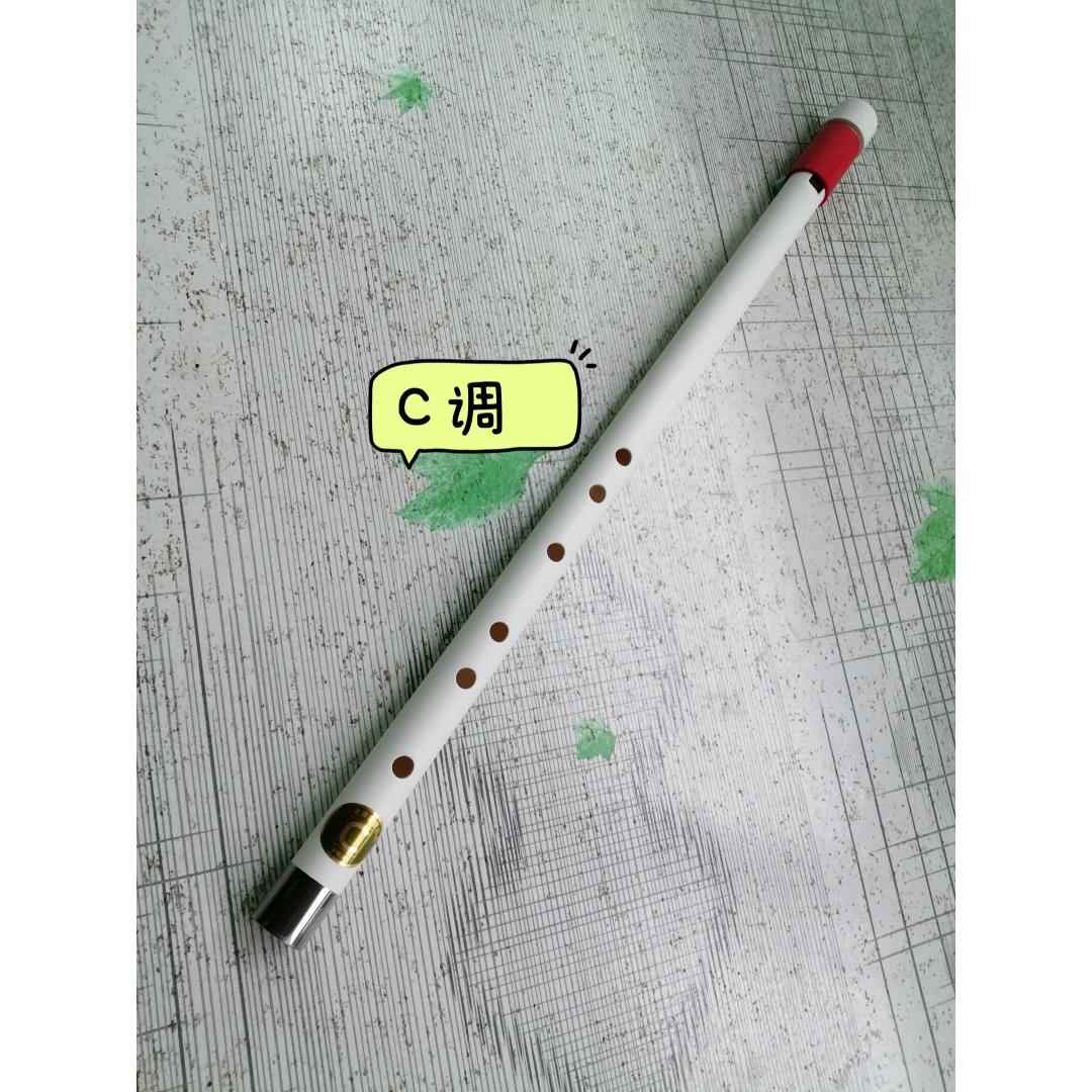 正品低中孔音哨笛pvc手工制六声八精孔印第安笛风格百竹奇乐器