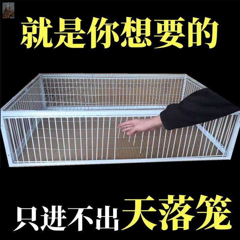 天落笼捕捉神器祇进不出鸟室外鸽子笼加厚加密全自动收活络撞门