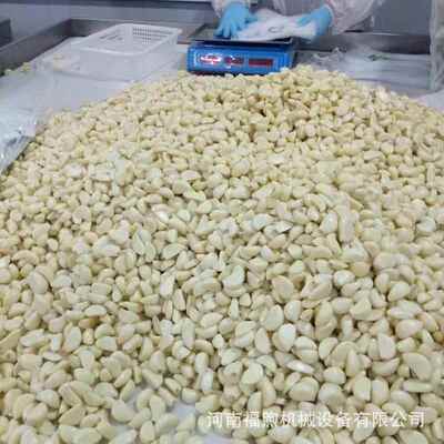 价商用无损销伤大蒜厂脱直皮机20TOL0斤每小时大蒜去皮机