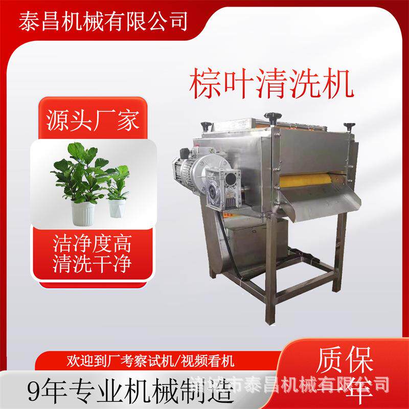 桲椤叶粽叶清洗机菠萝叶清洗机器竹叶清洗设备枇杷叶浸泡刷叶机
