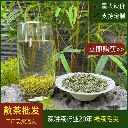 毛尖茶叶散批散装新茶2025浓香型雪芽秀芽绿茶自己喝明前