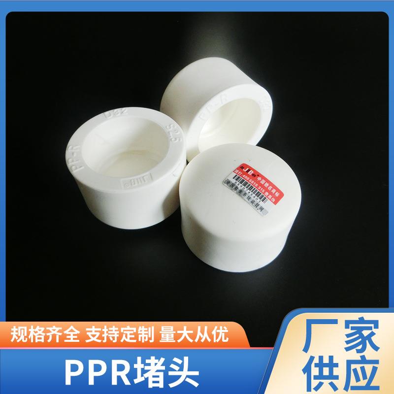 PPR堵头家装管道接头用堵头ppr管堵ppr管件管堵现货供应PPR管帽