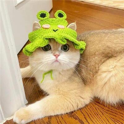 Cute Cat Hat Funny Pets Party Cosplay Headwear Delicate Hemm