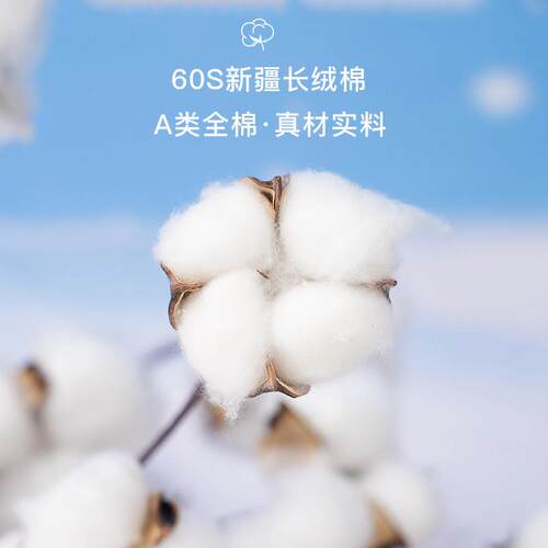 新款直销WBZ7低枕头薄枕软成人护颈椎助睡眠超薄矮棉枕芯A类母婴