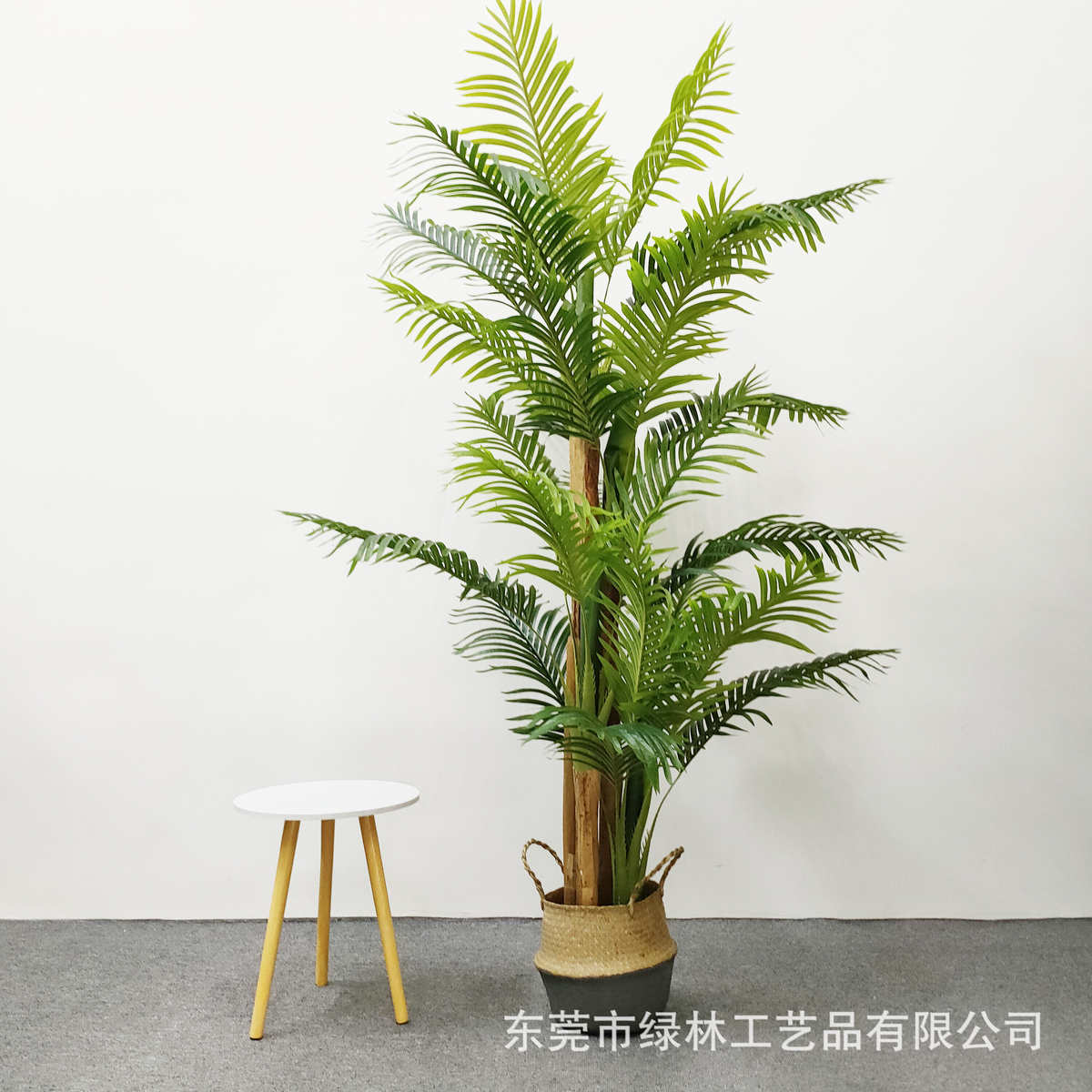 仿真葵树带皮细葵天竺葵假绿植盆栽家居装饰散尾葵树凤尾葵可批发