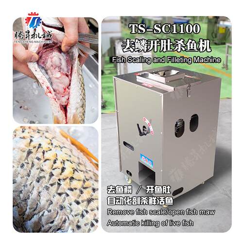 全自动杀鱼机商用食堂酒楼鱼制品加工开肚去鳞一体机杀鱼机