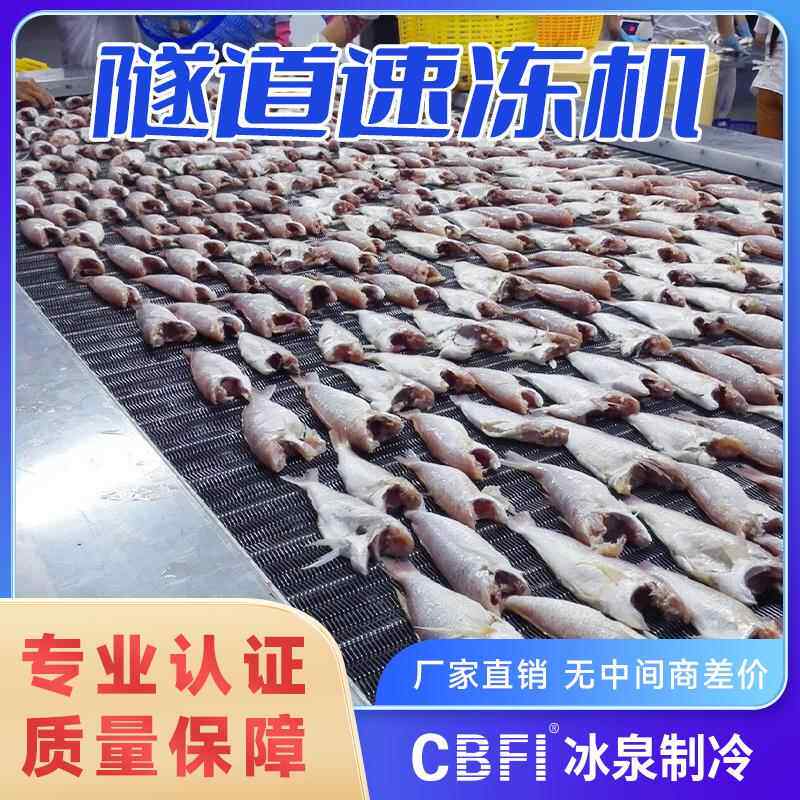 隧道式速冻机高效节能速冻肉类禽类海鲜类水果蔬菜类大产量生产