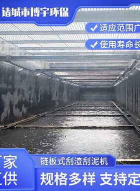 沉砂池链板式刮砂机 链条式刮泥机 沉淀池刮泥撇渣机