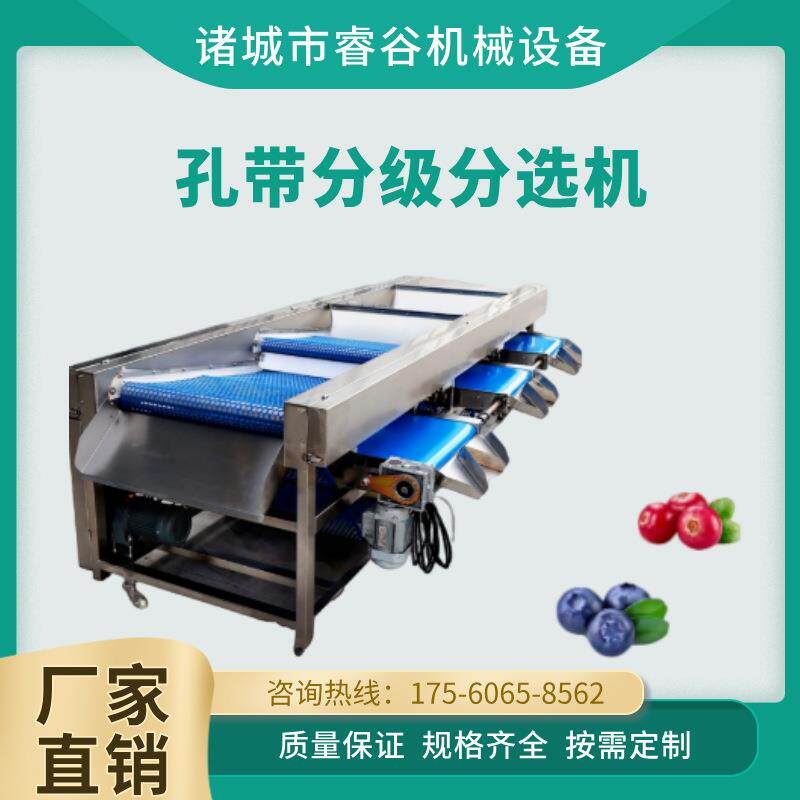 商用樱桃草百莓分机选萄 蓝莓树葡选果机 工LDO业香果南果梨分级