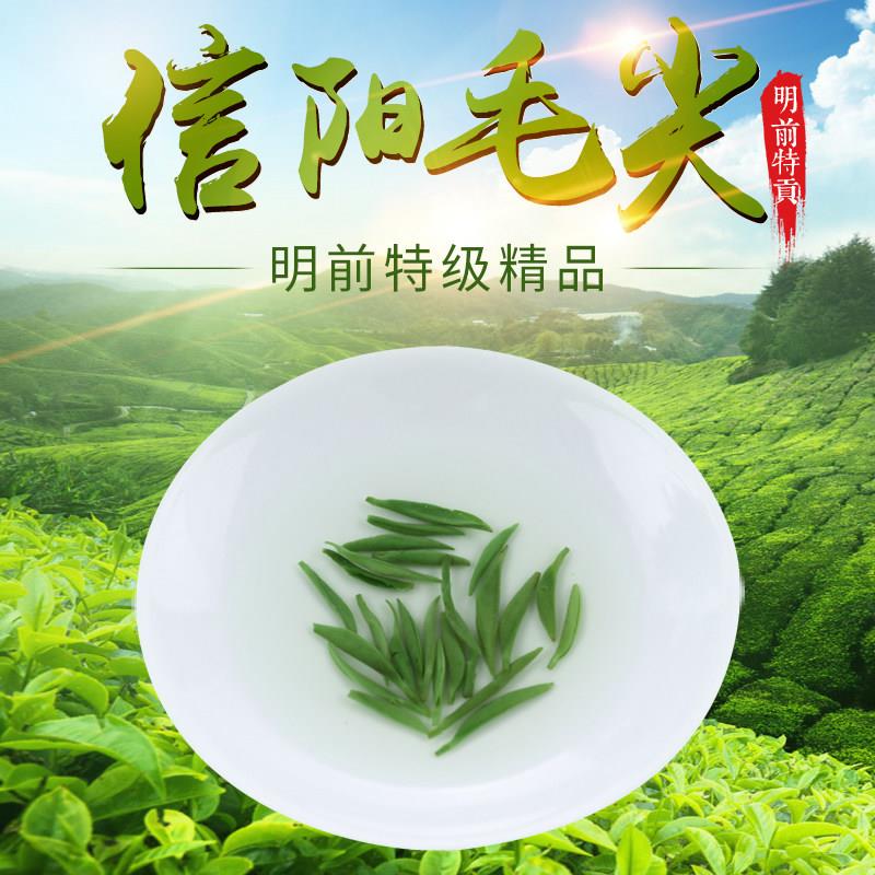 信阳毛尖2025新茶纯手工明前头采小芽高山全芽信阳直发散装礼盒装