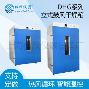DHG-9640A立式250度电热鼓风干燥箱老化箱实验室烘箱