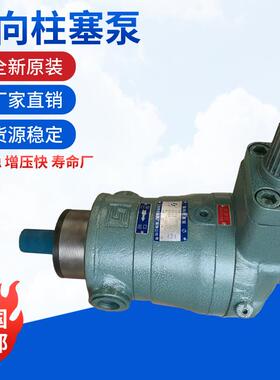 上海高压油泵厂10/25/40/63/80/100/160/250/400YCY14-1B柱塞泵