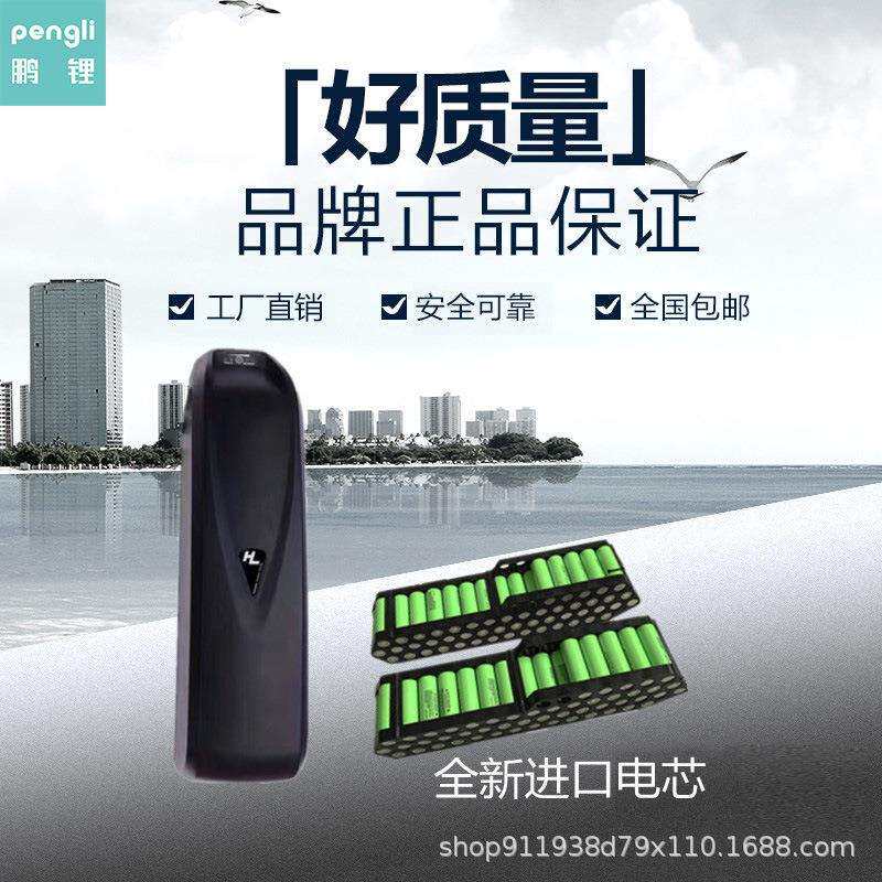 海龙款山地改装车海龙一号36V/48V雪地车山地车锂电 E-bike电池