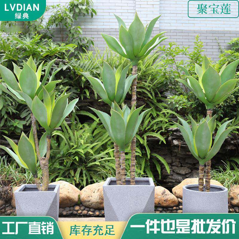 轻奢仿真聚宝莲盆栽植物居家客厅装饰摆件厂家直供落地假树绿植