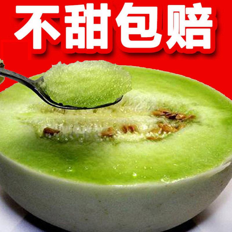 上海南汇玉菇甜瓜玉茹香瓜蜜瓜绿宝冰激凌绿肉小甜瓜新鲜当季现摘