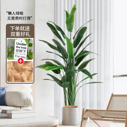 北欧风仿真绿植盆栽天堂鸟室内假植物鹤望兰客厅高端轻奢装饰摆件