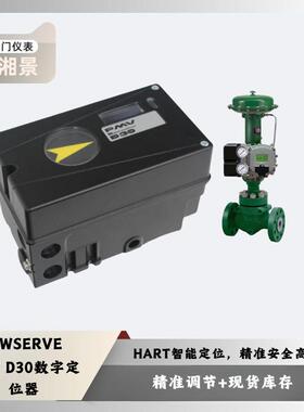 FLOWSERVE PMV D0数字定位器 配川仪调节阀