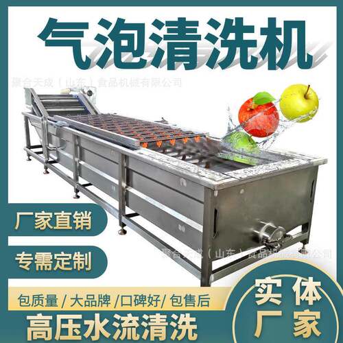 厂家连续式果蔬气泡清洗机商用中药材清洗设备鼓泡全自动喷淋冲浪